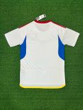 2023/24 Venezuela Away Fans Soccer jersey