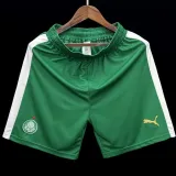2024/25 Palmeiras Fans Soccer Shorts