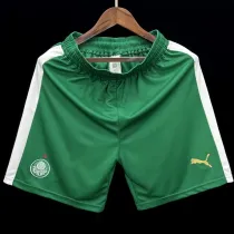 2024/25 Palmeiras Fans Soccer Shorts