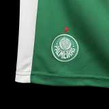 2024/25 Palmeiras Fans Soccer Shorts