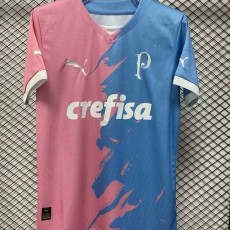 2023/24 Palmeiras Pink Training Shirts