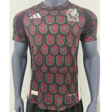 2024 Mexico Home Red Player Soccer jersey
