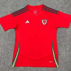 2024 Wales Home Red Fans Soccer jersey