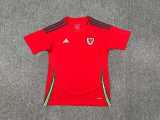 2024 Wales Home Red Fans Soccer jersey