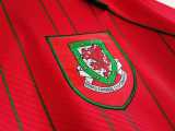 1994/96 Wales Home Red Retro Soccer jersey