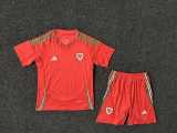 2024 Wales Home Red Fans Kids Soccer jersey