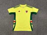 2024 Wales Away Yellow Fans Soccer jersey