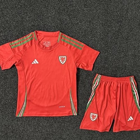 2024 Wales Home Red Fans Kids Soccer jersey
