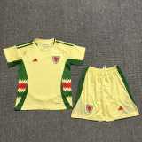 2024 Wales Away Yellow Fans Kids Soccer jersey
