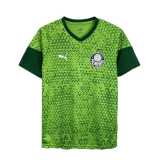 2024/25 Palmeiras Green Training Shirts