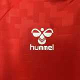 2024 Denmark Home Red Fans Soccer jersey