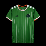 2024 Celtic Commemorative Edition Green Fans Soccer jersey