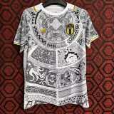 2024 Italy Special Edition Gray Fans Soccer jersey