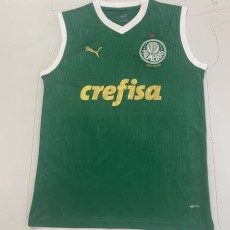 2024/25 Palmeiras Green Training Shirts