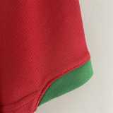 2006 Portugal Home Red Retro Soccer jersey