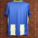 2024/25 Brighton & Hove Albion Home Blue Fans Soccer jersey