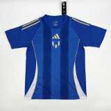 2024 Argentina Blue Training Shirts