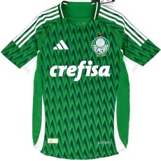 2024/25 Palmeiras Special Edition Green Fans Soccer jersey