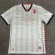 2024/25 SSC Bari Special Edition Gray Fans Soccer jersey