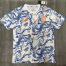 2024/25 Lyon Blue Training Shirts