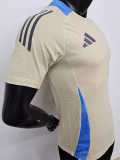 2024 Argentina Yellow Player Training Shirts