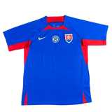 2024/25 Slovakia Home Blue Fans Soccer jersey