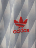 2024/25 LIV Commemorative Edition Gray Player Soccer jersey