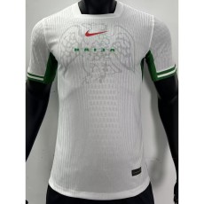 2024 Nigeria Home White Player Soccer jersey