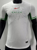 2024 Nigeria Home White Player Soccer jersey