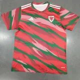 2024 Wales Red Training Shirts