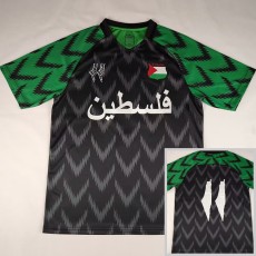 2024/25 CD Palestino Special Edition Fans Soccer jersey