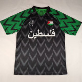 2024/25 CD Palestino Special Edition Fans Soccer jersey
