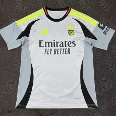 2024/25 Benfica 3RD Gray Fans Soccer jersey