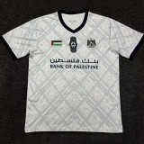 2024/25 CD Palestino Gray Training Shirts