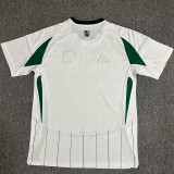 2024/25 FC Schalke 04 Away Fans Soccer jersey