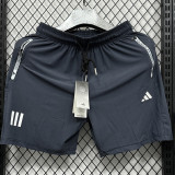 Gray Shorts Pants