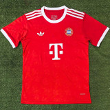 2024/25 Bayern Red Training Shirts