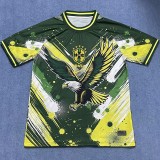 2024 Brazil Training Shirts