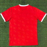 2024/25 Bayern Red Training Shirts