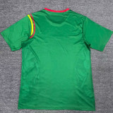 2024 Cameroon Green Training Shirts