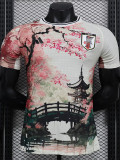 [PLAYER] 2024 Japan Special Edition Player Soccer jersey