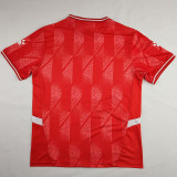2024/25 CD Palestino Special Edition Fans Soccer jersey
