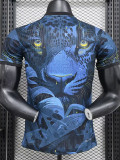 [PLAYER] 2024 Brazil Special Edition Player Soccer jersey