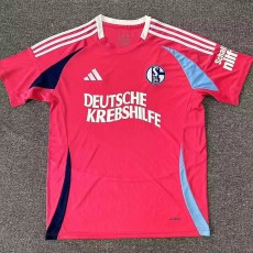 2024/25 FC Schalke 04 Special Edition Fans Soccer jersey