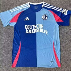 2024/25 FC Schalke 04 Special Edition Fans Soccer jersey