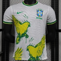[PLAYER] 2024 Brazil Special Edition Player Soccer jersey