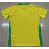 2025 Brazil Special Edition Yellow Fans Soccer jersey