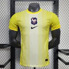 [PLAYER] 2025 France Special Edition Yellow Player Soccer jersey