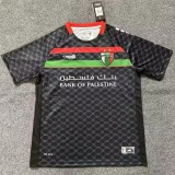 2025/26 CD Palestino Away Fans Soccer jersey