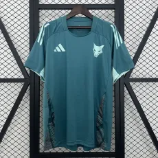 2025/26 Cruzeiro blue green Training Shirts